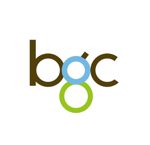 Image BGC Group (Outsourcing)